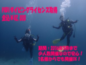 ＰＡＤＩダイビングライセンス取得