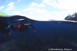 体験ダイビング1