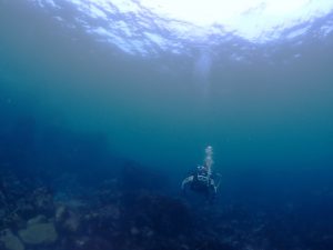 水面と水中の色が違うのがわかりますね