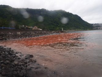 青い海のはずが赤楚に占拠された～！