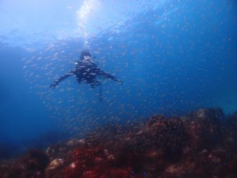 中性浮力もバッチリ！