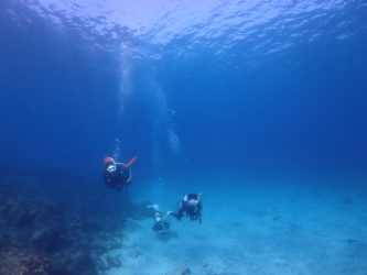 ゲストダイバーと海