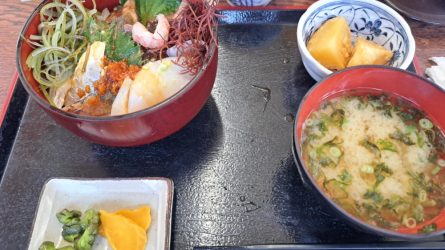 初島ランチ