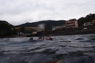 紙面も水中も乱舞