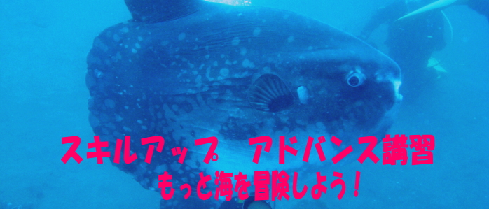スキルアップ アドバンス講習 もっと海を冒険しよう!