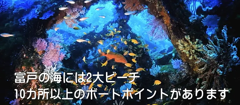 富戸の海には2大ビーチ　10カ所以上のボートポイントがあります