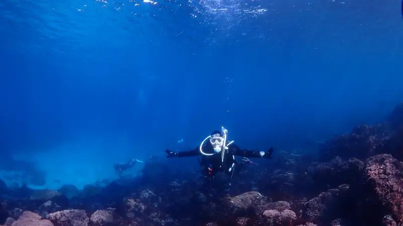 ファンダイビング