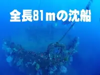 全長81mの沈船