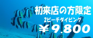 少人数水中ガイド初心者の方も安心