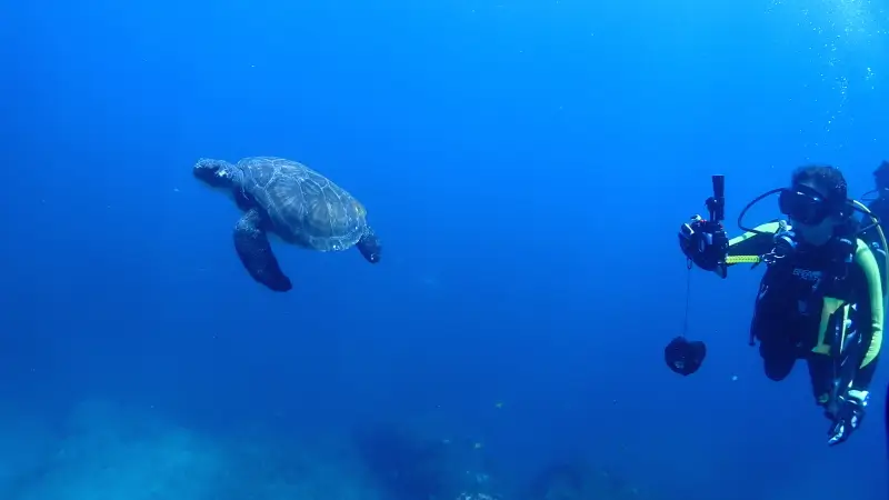 伊豆ファンダイビング