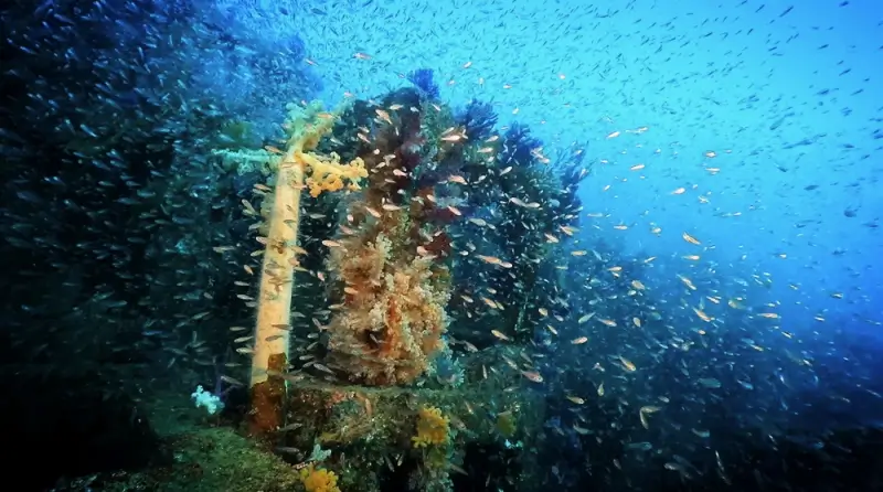 伊豆半島ツアー