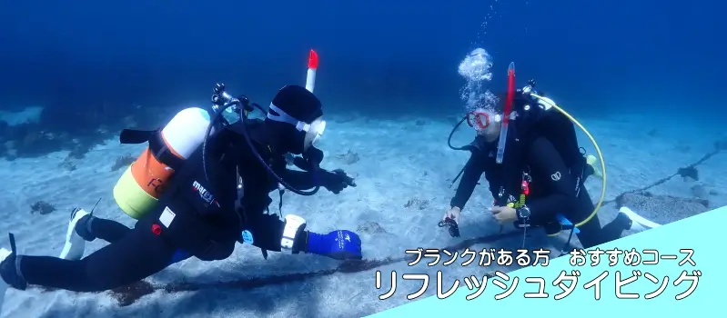 ブランクがある方おすすめコースリフレッシュダイビング