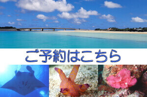 ご予約はこちら