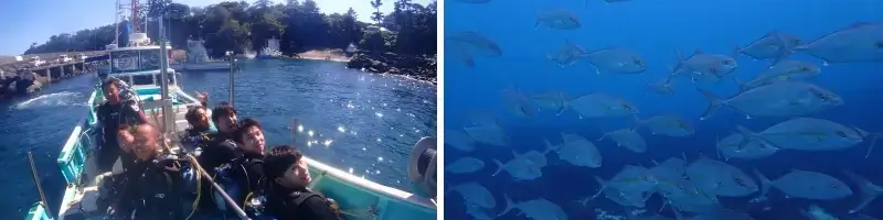 富戸　ボートダイビング