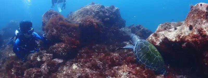 富戸　脇の浜