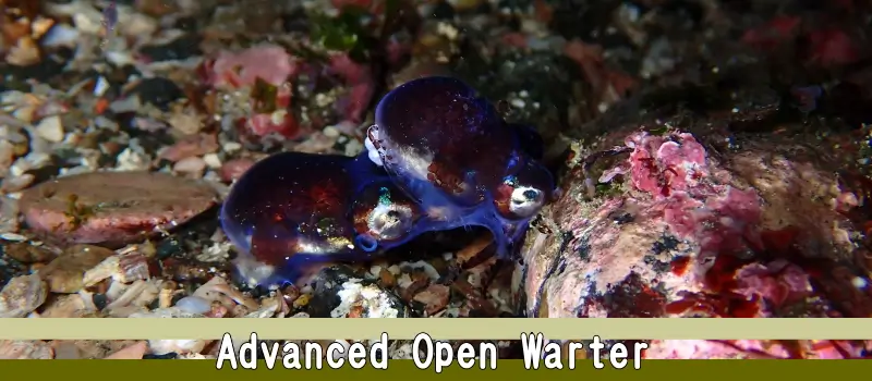 Advanced Open Water