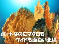 ボートなのにマクロもワイドも面白い北川