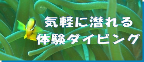 気軽に潜れる体験ダイビング