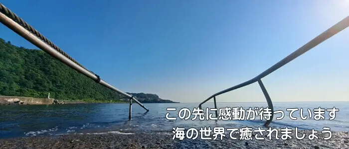 この先に感動が待っています　海の世界で癒されましょう
