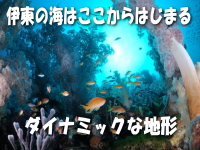 伊東の海はここからはじまるダイナミックな地形