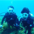 体験ダイビング