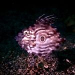 富戸の海と掛けまして、GRAYと解きます、その心は誘惑が最高