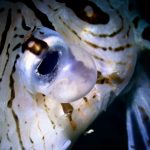 生物で共感って素敵じゃん