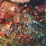 3連休初日は穏やかな海でスタート！