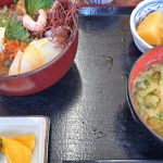 久々の初島へ行ってきたぁ～