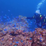 秋だな～温泉丸が気持ちいい♨