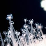 続く北東の風
