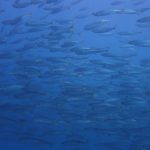 風予報に負けないぞ！