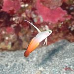 深場がおもしろーい