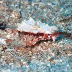 チーフのリハビリダイブ(笑)