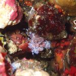 ヨコ＆脇、両浜攻め！