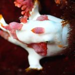 青い海で細々と(笑)