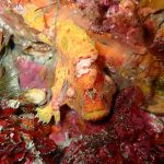 本年も宜しくお願い致します！