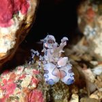 マクロがえぐい