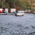 海の生物たちは元気いっぱいです！