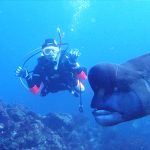 すっかり平日モードです。