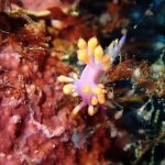 平日ガッツリ撮影ダイブ📸