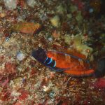 昨日の影響が残る海