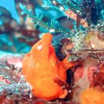 春が始まったかな