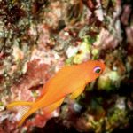 うねりに負けず