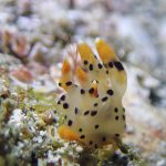 うねりが残るなぁ(´；ω；`)