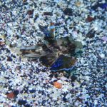 海も春が近づいて来た