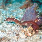 透明度抜群の海でした☆