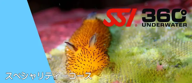 SSI360°UNDERWATER　スペシャリティーコース