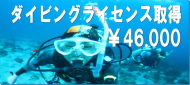 ダイビングライセンス￥44.000