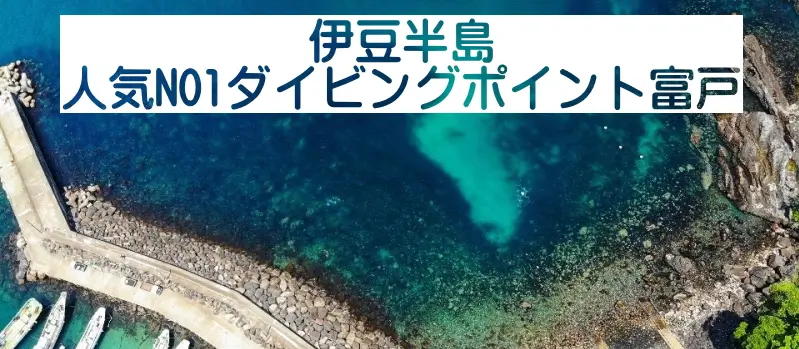 伊豆半島人気NO1ダイビングポイント富戸